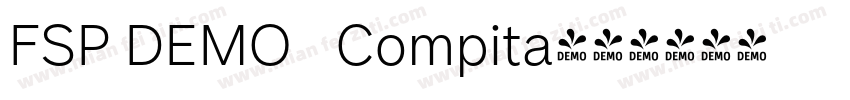 FSP DEMO   Compita字体转换